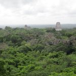 A View from Temple IV in Tikal