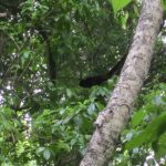 IMG_0643_2