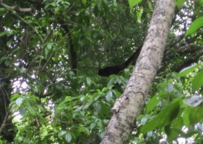 IMG_0643_2