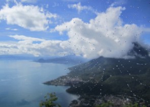 IMG_0513