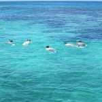Belize Barrier Reef