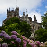 IMG_3601 IMG_3601