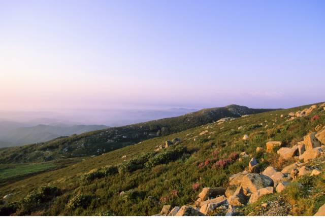 Portugal, Serra de Monchique, view from mount Foja